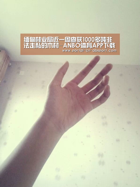 缅甸林业局近一周查获1000多吨非法走私的木材-ANBO体育APP下载(图1) 安博最新版