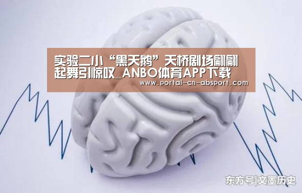 实验二小“黑天鹅”天桥剧场翩翩起舞引惊叹_ANBO体育APP下载(图1) 安博电竞官网入口